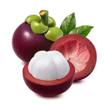 Mangosteen